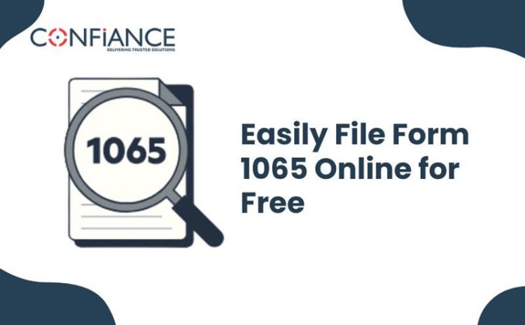 Easily File Form 1065 online for free